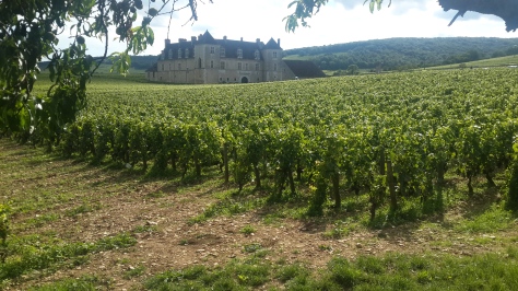 Burgundy's most well known vineyard site, Clos de Vougeot, aslo serves as headquarters of the Confrerie de Chevaliers du Tastevin