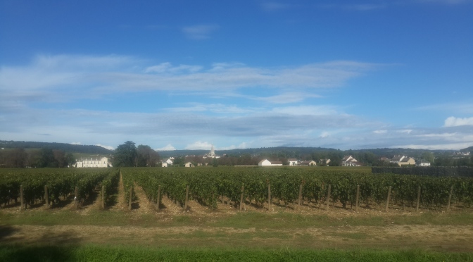 WHAT A DIFFERENCE A DAY MAKES ! Burgundy Harvest Update – Sunday, 21 September, 2014
